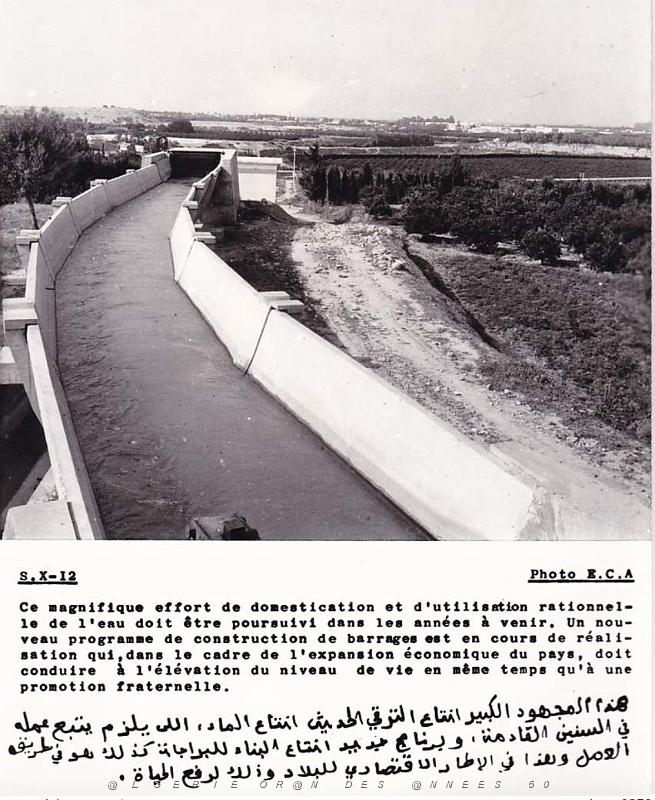 Algerie propagande 100.jpg